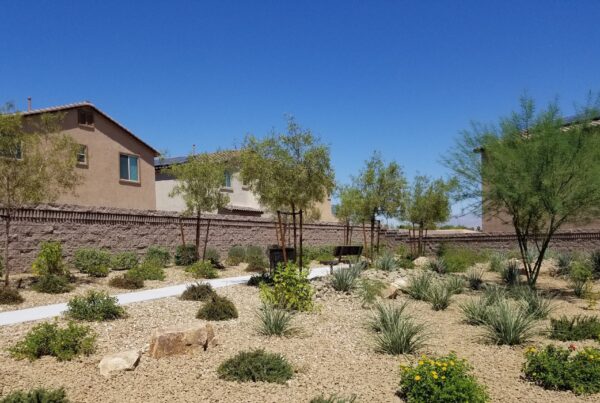 David Ridge by Lennar