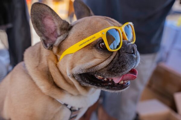 SnapInsta.to_583253610_18542688400040806_3662394624840991100_n